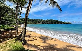 Bom Bom - Principe Collection